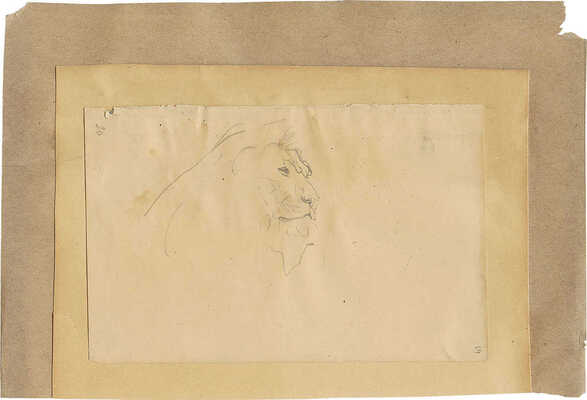 Серов Валентин Александрович. Голова льва 